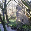 A beautiful ruin hidden in some woods at Steinmanhill, Aberdeenshire