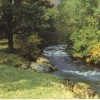 A stream near Rydal, Lake district
