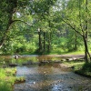 The stepping stones, Cannock Chase, Staffordshire