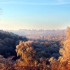 Frosty morning, Sherbrook Valley, Cannock Chase
