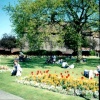 Shakespeare Memorial Garden in Stratford-upon-Avon