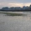 Low tide at Worthing, West Sussex