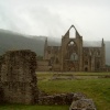 The ruines of Tintern Abbey - South Wales. Picture taken July 2003