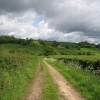Devon Countryside, near Axminster