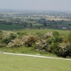Hartshill Hayes Country Park, Nr Atherstone, North Warwickshire.