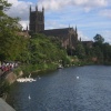Worcester Cathedral and swans along the river Severn, Worcester