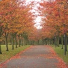 Fall in Stoke-on-Trent, Staffordshire
