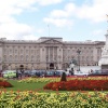 Spring flowers in full bloom at Buckingham Palace, London.