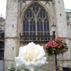 Gloucester Cathedral, Gloucester