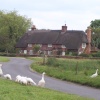 A cottage in Breamore. Hampshire  - (Photo taken in June 2005)