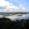 A picture of Arne RSPB Reserve