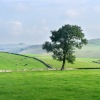 Fields near Wolfescotedale, Derbyshire