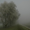 Freezing Fog at Fen Lane, North Hykeham