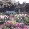Fan Rose Garden at Kelmarsh Hall & Gardens