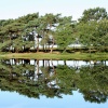 Hatchet Pond in the New Forest