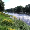 River Eden, Lazonby, Cumbria