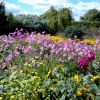 Arundel gardens, Arundel, West Sussex