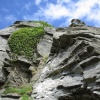 The Valley of the Rocks, Lynton, Devon.