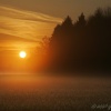 Long Hanborough - Sunrise