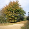 Near Faringdon Folly