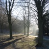 Winter Sunshine at Fairlands Valley Park
