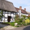 Thatched and Timbered Beauty