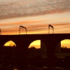 Stockport Viaduct