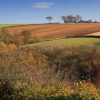 Autumn View Near South Cave, East Riding of Yorkshire