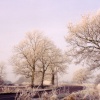 Frosty morning in Anstey, Leicestershire