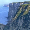 The cliffs at Bempton, East Riding of Yorkshire