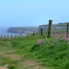 Cliff path, Bempton, East Riding of Yorkshire