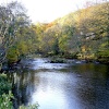 River nr Ambleside, Cumbria.