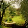 A Garden, Brecon, Powys