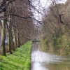 River Skerne, Darlington, County Durham