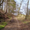 Track near the ford, Eggleston, County Durham