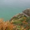 Minack in August