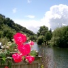 By the river at Symonds Yat