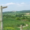 The South Downs, near Idsworth, Hampshire.