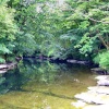 The river near Natland and Sedgewick, Cumbria