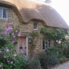 Great Tew cottage and flowers