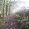Footpath between Up Nately & Greywell
