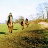 The Gallops