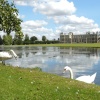 Audley End House   (and swans)