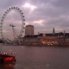 London Eye at Dusk