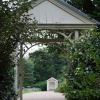 Tregwainton Gardens, Madron, Penzance