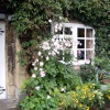 Pretty Cottage Garden