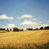 Landscape near Lavenham