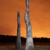 Tree Sculptures at Jeskyns Park at Night