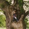 Isaac's Tree