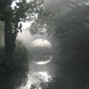 Basingstoke Canal, Up Nately
